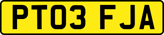 PT03FJA