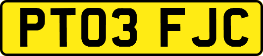 PT03FJC