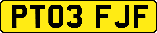 PT03FJF