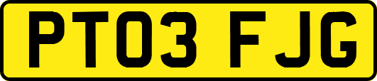 PT03FJG