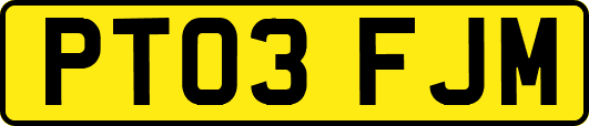 PT03FJM
