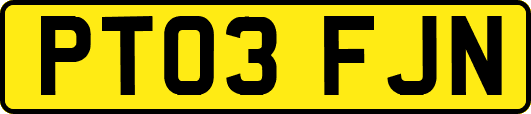PT03FJN
