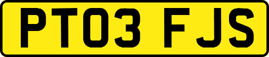 PT03FJS