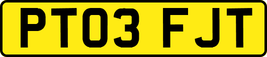 PT03FJT