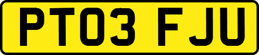 PT03FJU