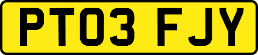 PT03FJY