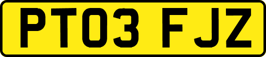 PT03FJZ