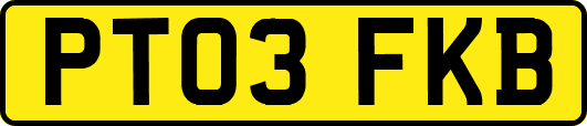 PT03FKB