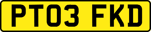 PT03FKD