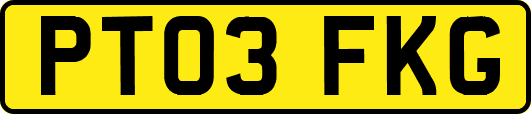 PT03FKG