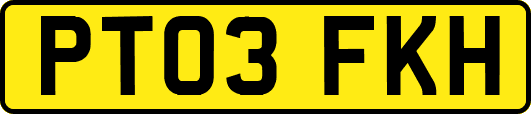 PT03FKH