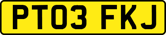 PT03FKJ