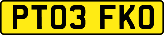 PT03FKO