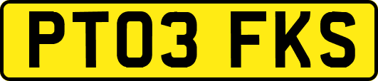 PT03FKS