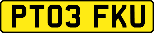PT03FKU
