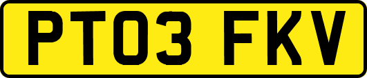 PT03FKV