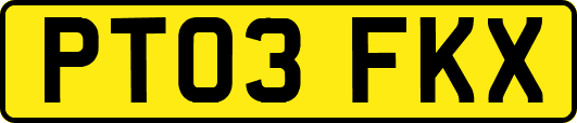 PT03FKX