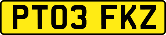PT03FKZ