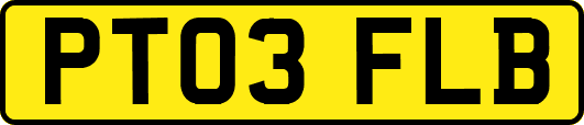 PT03FLB