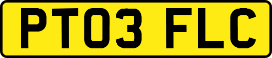 PT03FLC