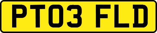 PT03FLD