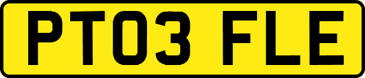PT03FLE