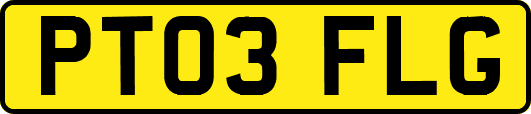 PT03FLG