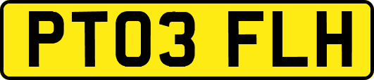 PT03FLH