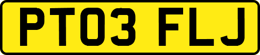 PT03FLJ