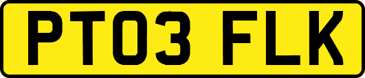 PT03FLK