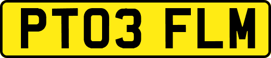 PT03FLM
