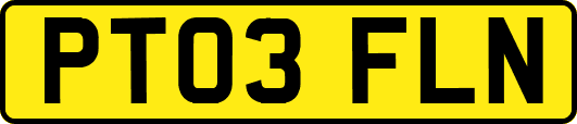 PT03FLN