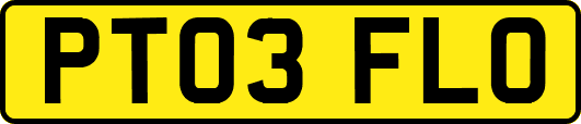 PT03FLO