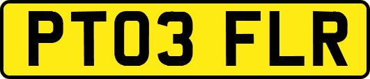 PT03FLR