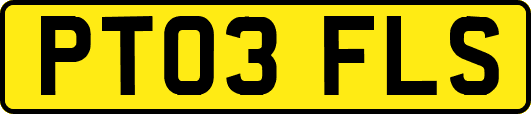 PT03FLS