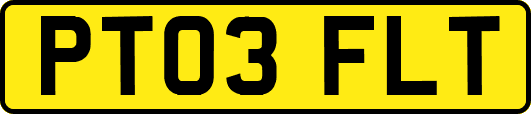 PT03FLT