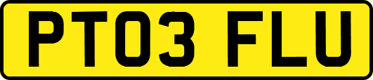 PT03FLU