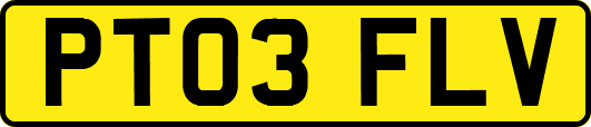 PT03FLV