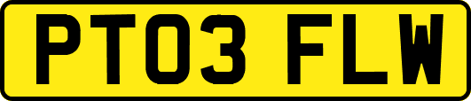 PT03FLW