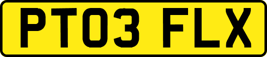 PT03FLX
