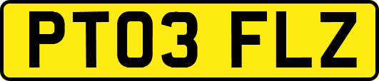 PT03FLZ