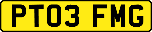 PT03FMG