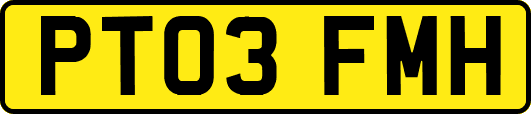 PT03FMH