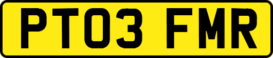 PT03FMR