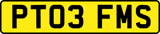 PT03FMS