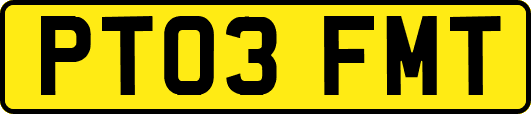 PT03FMT