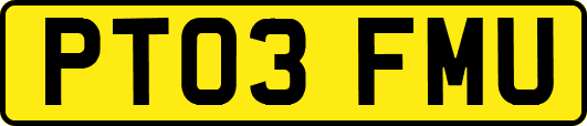 PT03FMU