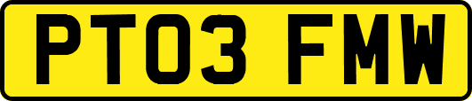 PT03FMW