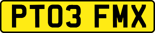 PT03FMX