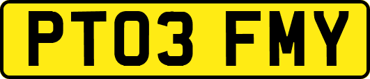PT03FMY
